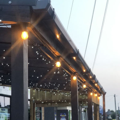 Festoon Lights