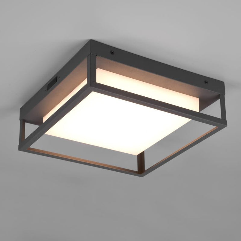Witham Outdoor Ceiling Light