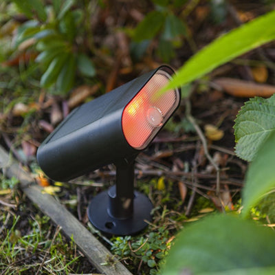 Lutec Ginbo Solar ground light emitting red light positioned in a garden border