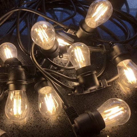 Extendable Festoon Lights Ten Bulb Commercial Grade