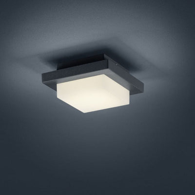 Hondo Outdoor Ceiling & Wall Light