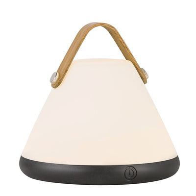 Dftp Strap Portable Lamp - NL-46195001
